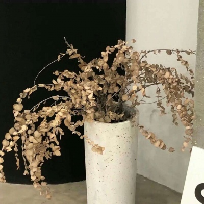 荆州福瑞交流群